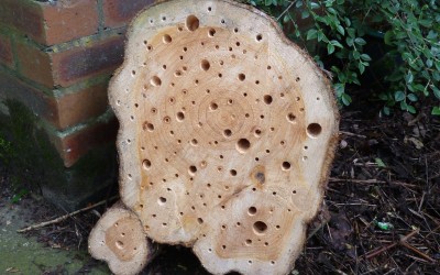 2014 -June – Insect House Gift.