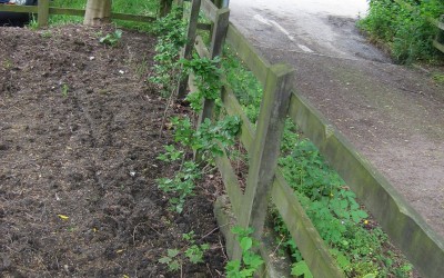 2014  – April – Work morning.