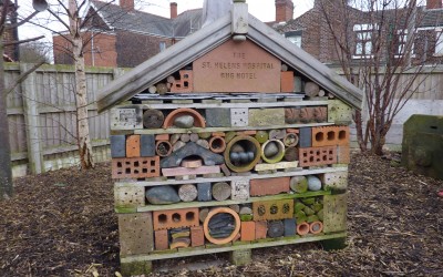 Inspiration from the STRANGEST Places!!