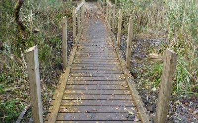 2014-November 2nd- Who is building a new Board Walk?