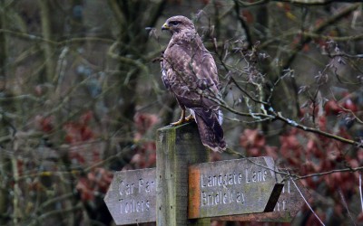 Not only people use our signs!