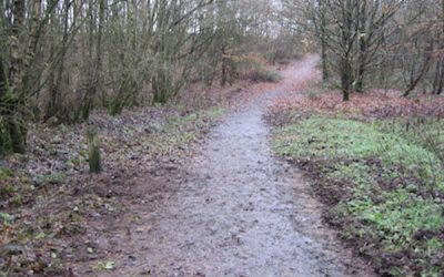 2016 – December – Our winter project.