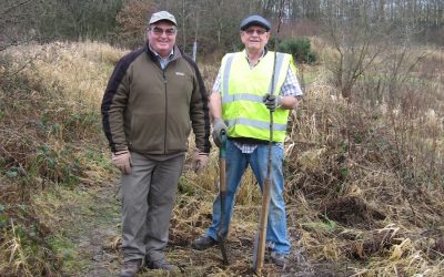 2017- January – Working around the site.