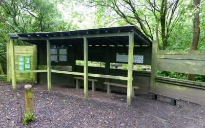 2017 – May – Painting the Bird Feeding Station.