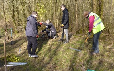 2018- 26th April – Hedge Planting