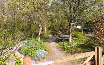 2020 – March – COVID 19 pandemic closes down the site.