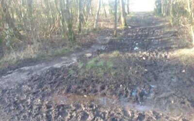 2018-2nd February- Muddy Paths.