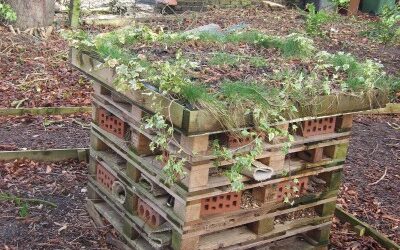 2014 – February – Finding Inspiration.