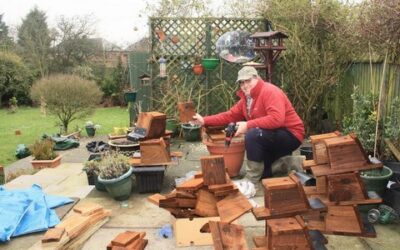 2014 – December to January – Managing the Bird Boxes.