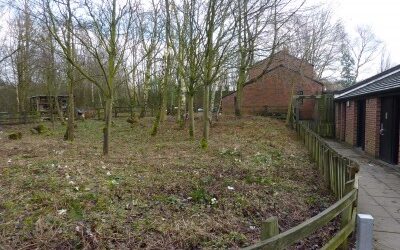 2014-February- Getting Permission.