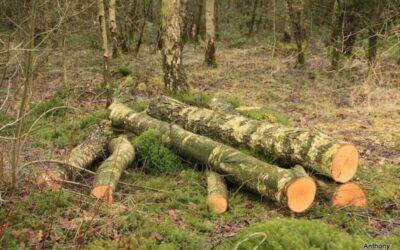 2015-May 17th- Digging the garden.